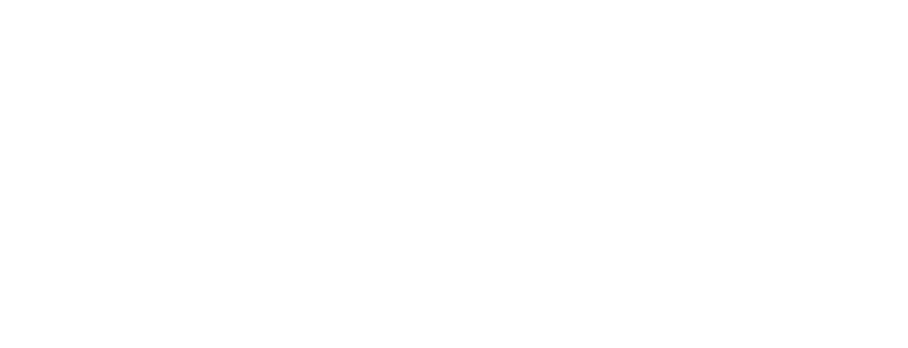 fibernetlogo